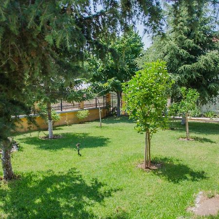 Paressa'S House Daire Nikiti  Dış mekan fotoğraf