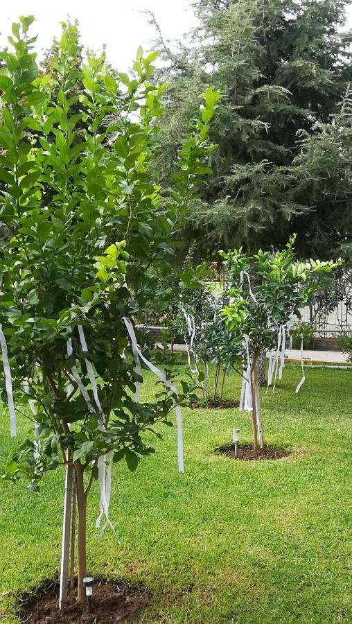 Paressa'S House Daire Nikiti  Dış mekan fotoğraf