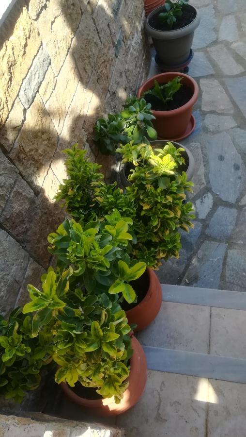 Paressa'S House Daire Nikiti  Dış mekan fotoğraf